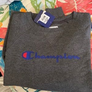 Small Champion sweatshirt